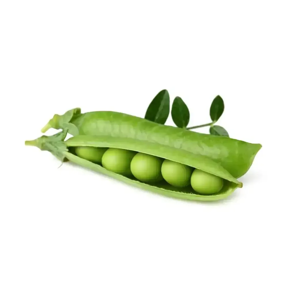 Zdjęcie produktu 1