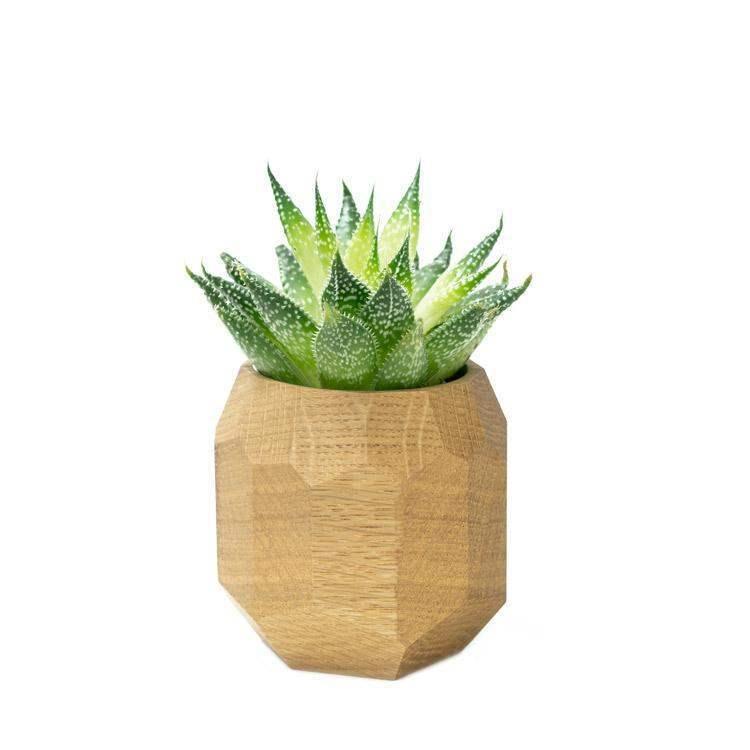 Zdjęcie produktu 6